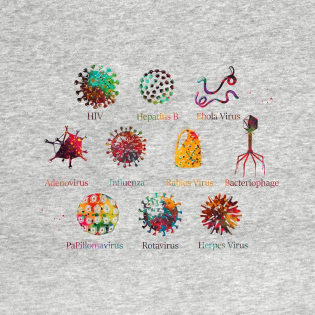 Diagram showing different kinds of viruses by erzebeth